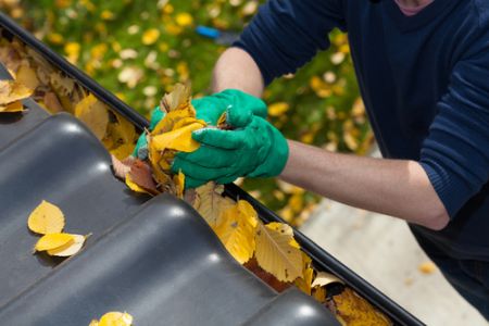 Monroe Gutter Cleaning Service